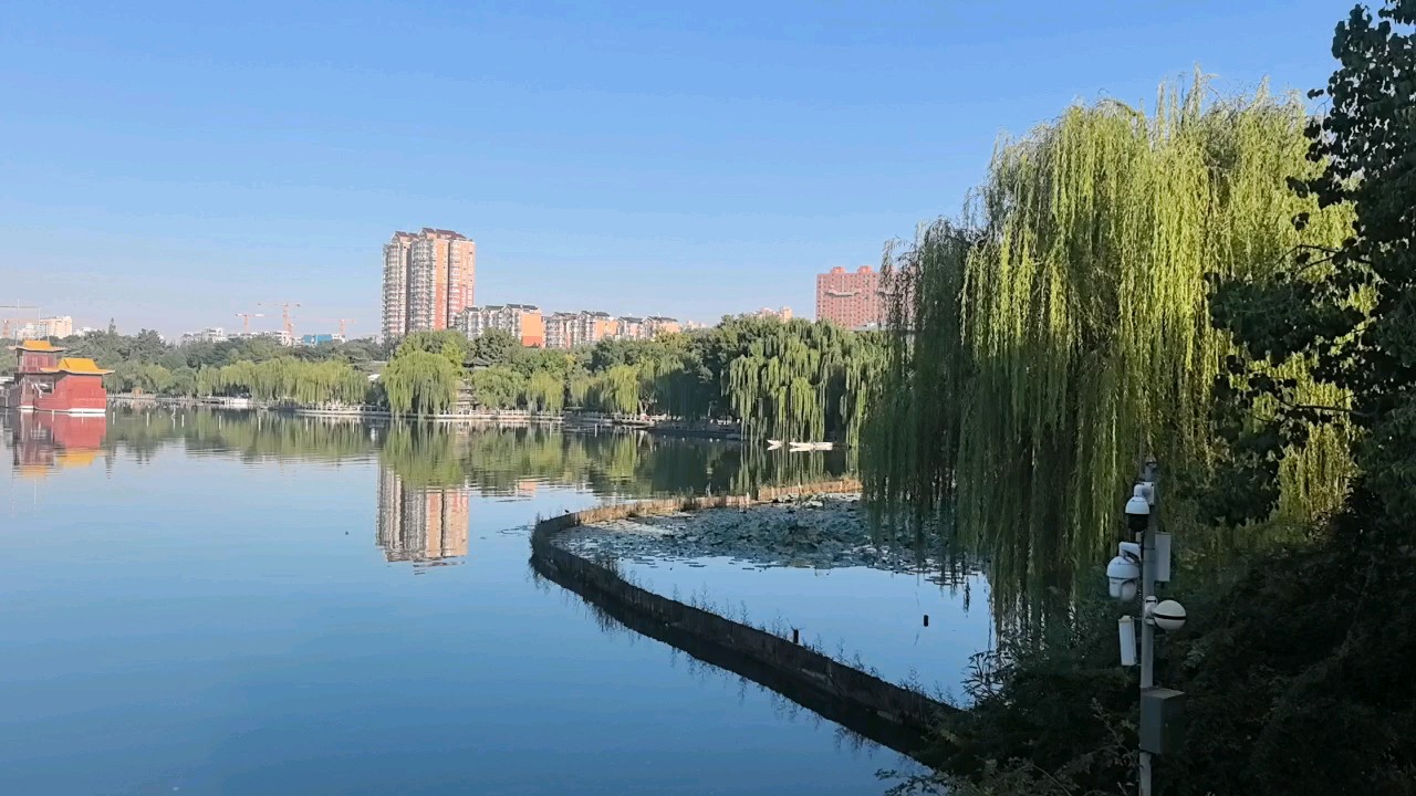 清晨的大明湖，像一幅会呼吸的画，湖面笼着一层薄纱！