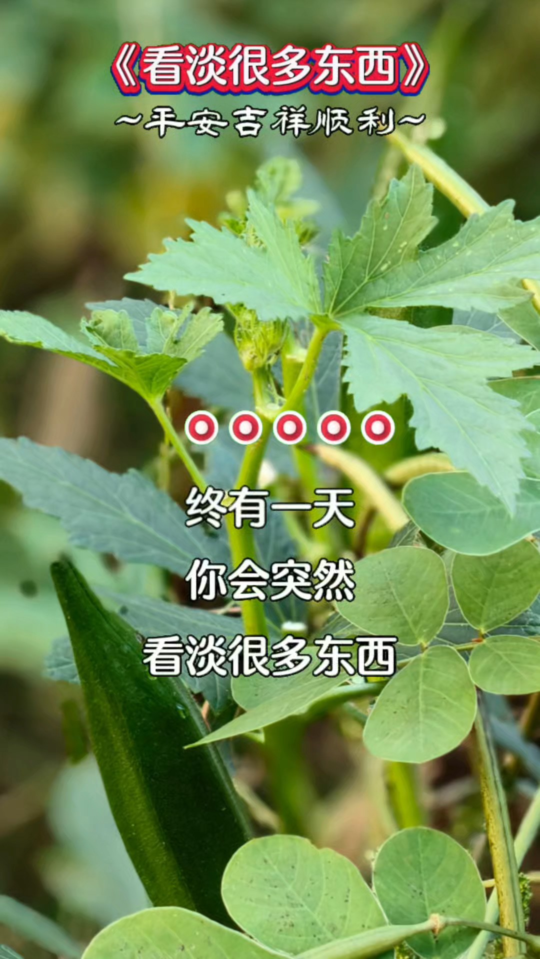 老了看淡很多东西