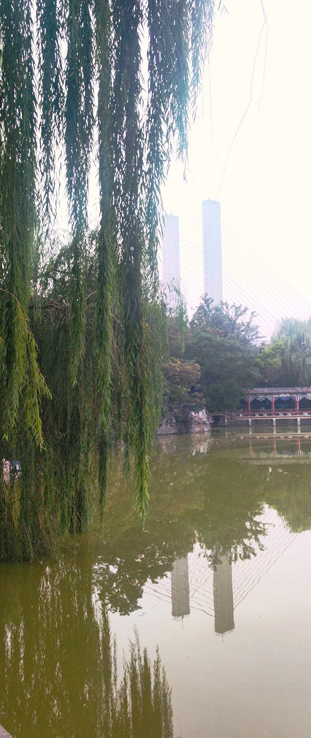 邹城铁西公园：晨光吻过湖面，柳影轻摇，亭台倒映成画。​