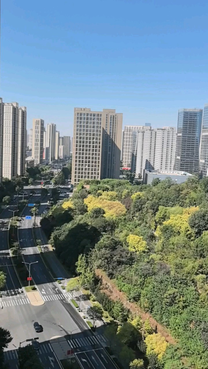济南的秋天短，满城的烟火气，把泉水、秋柳全揉在一起了！