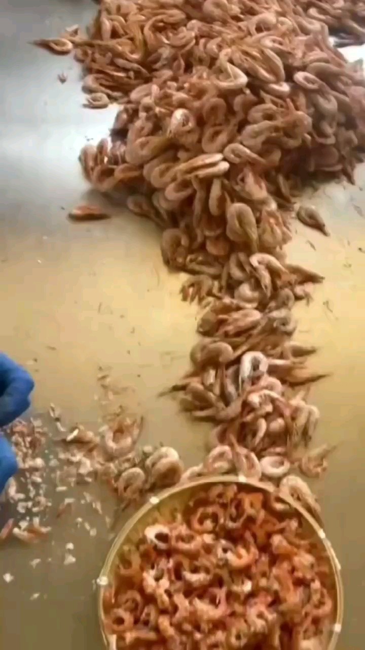 长岛大英虾蓬莱叫红虾虾米就是这样一个一个手工剥出来的，功夫贵