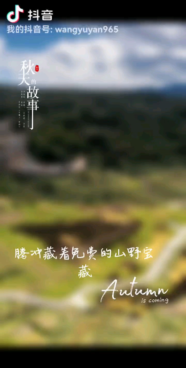 独一无二的腾冲漫山遍野遍布免费的山野宝藏（王誉燕）