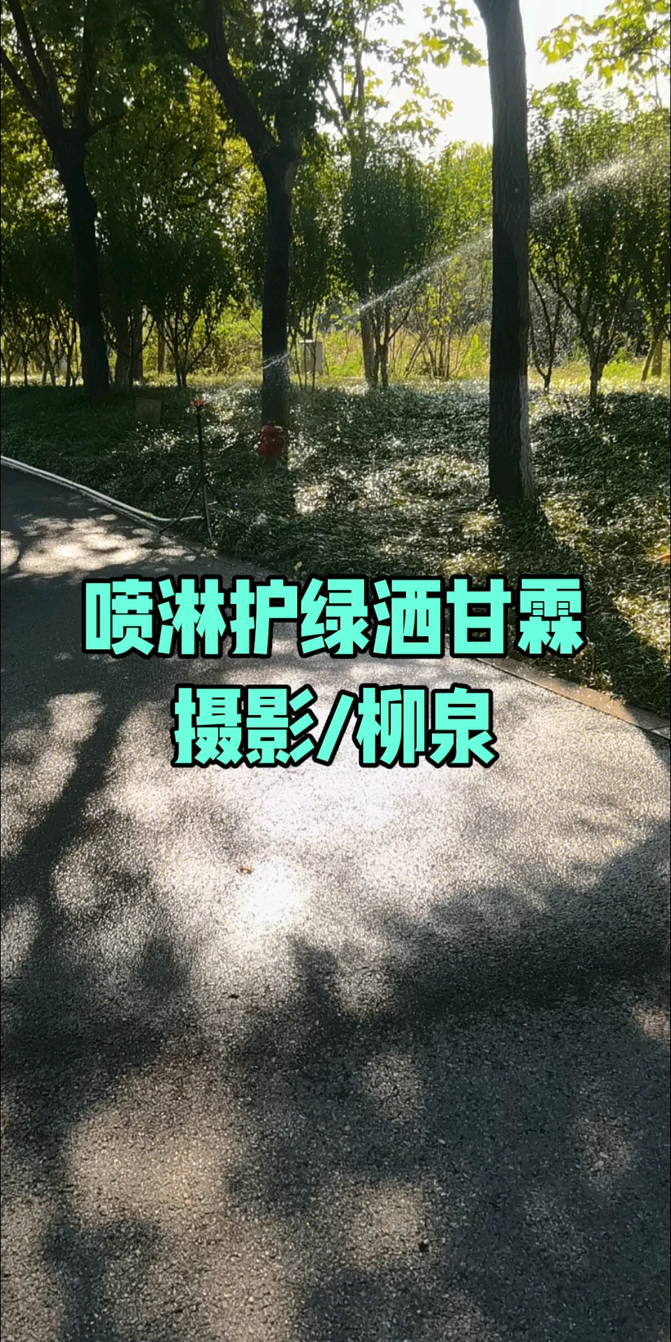 喷淋护绿洒甘霖/摄影/柳泉