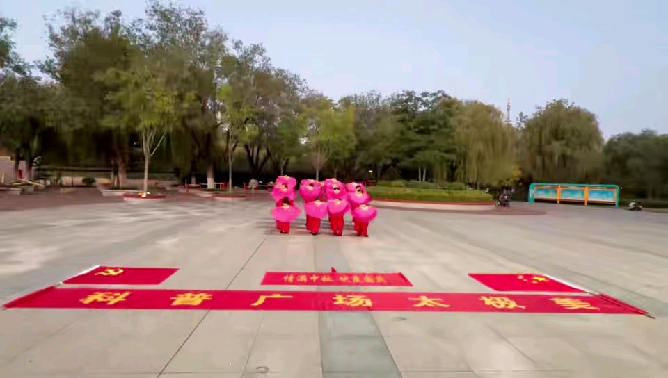 庆国庆，临沂东岳太极拳展演（摄影/杨兆宾）