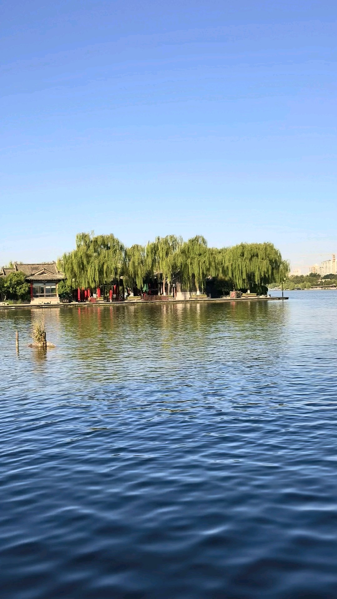 晓色澄湖碧，垂杨映远岑。
波轻摇碎影，风静听秋音。/晨起明湖