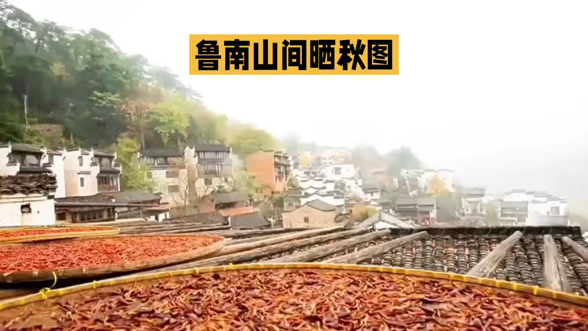 鲁南山间晒秋图（AI）