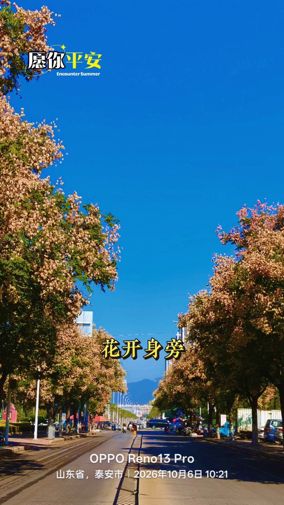 愿你平安