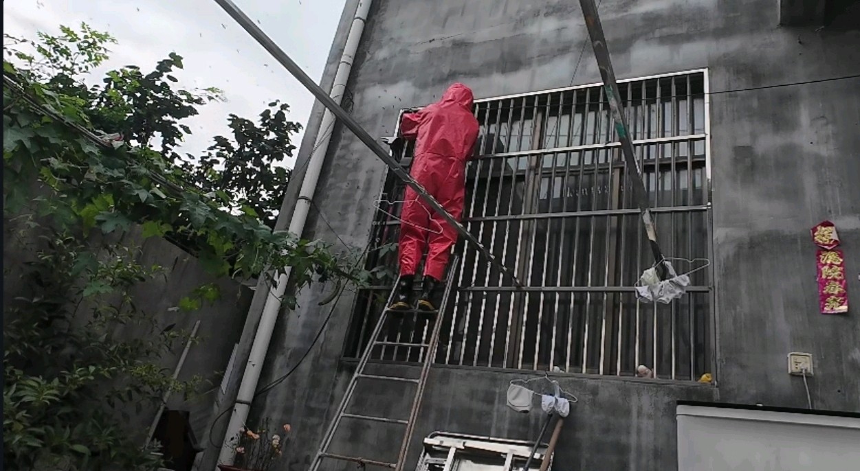 果然视频|马蜂在村民家屋檐下筑巢，消防员到场十分钟化解