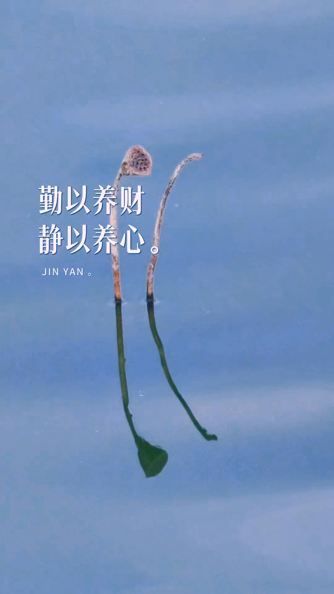 一池静水，独留残荷，褪去夏日盛放的繁花，枯荷静立水面。