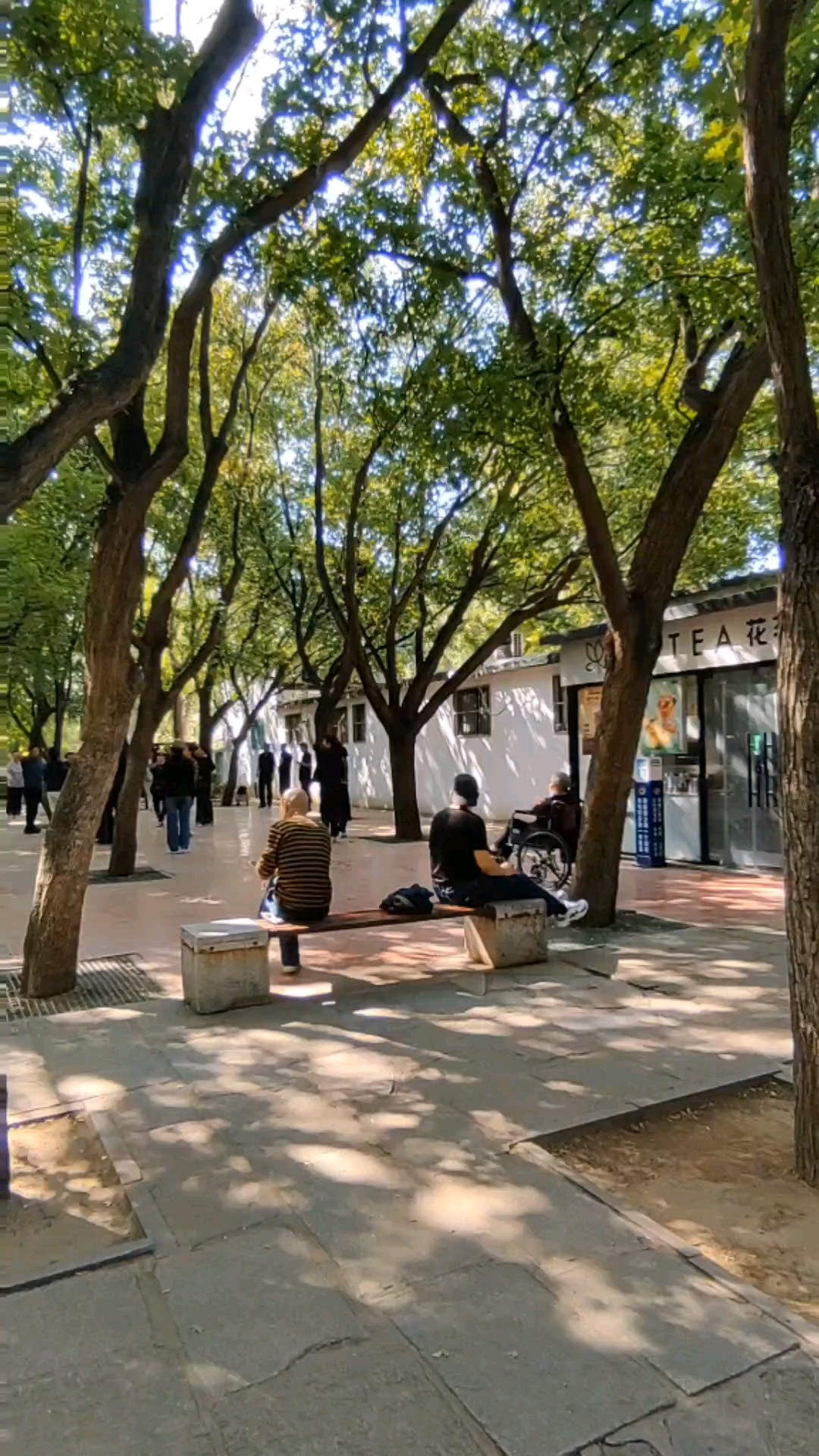 春天玉兰满园开，百花坊间秋深来。