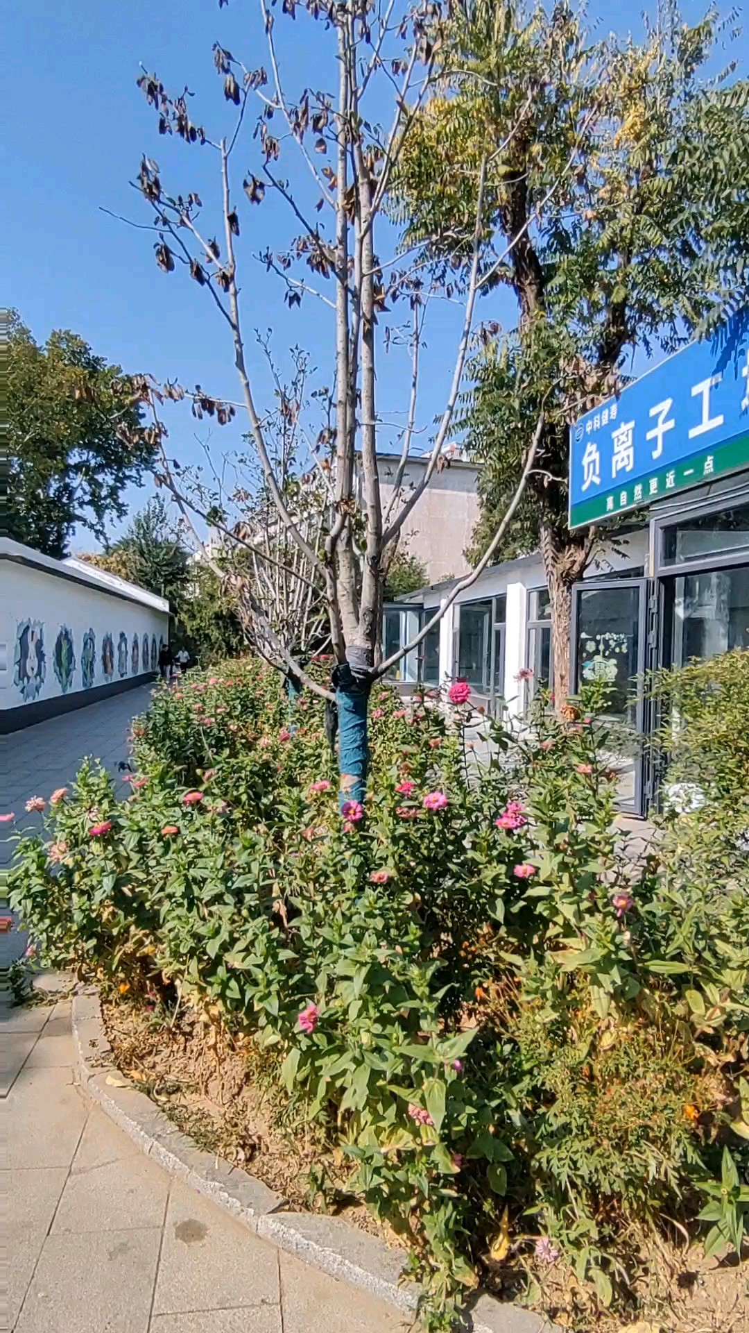 泉民园艺新景添，百花公园又一园。