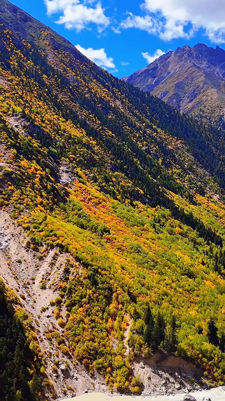 文旅黄山掠影