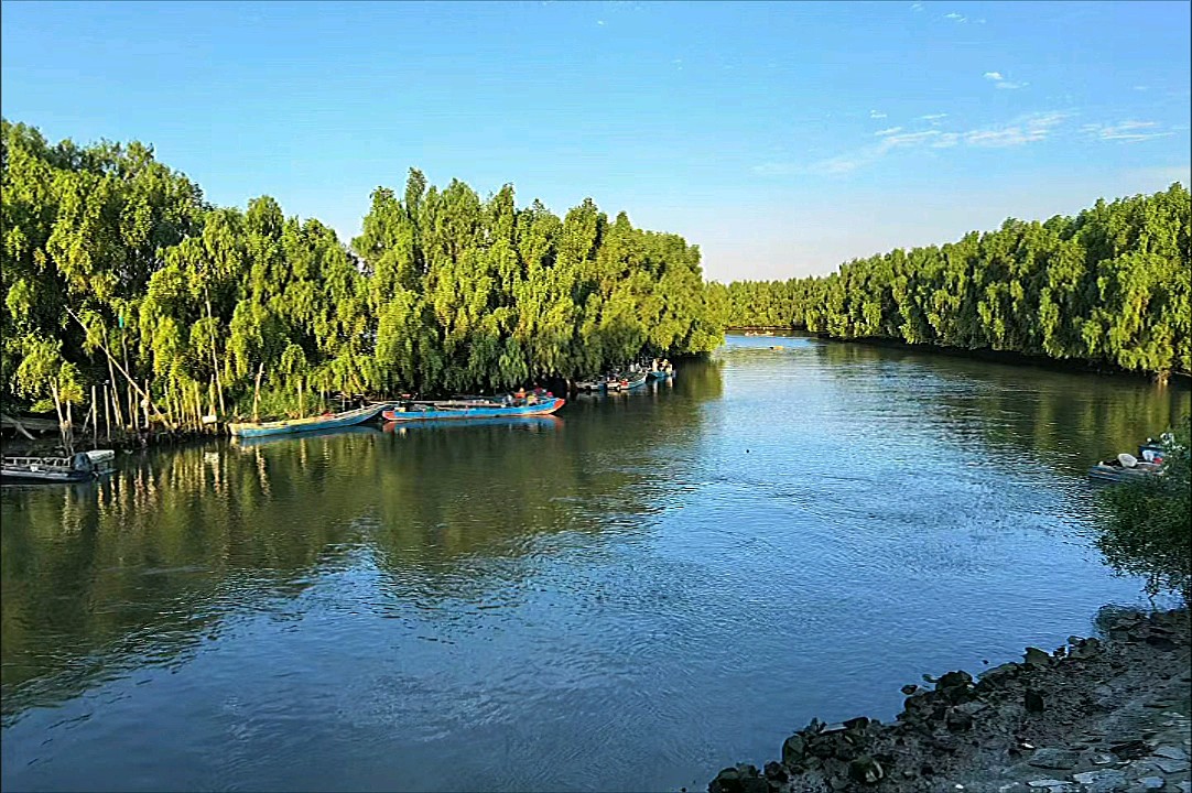 海堤海风红树林，碧水澄澈映蓝天