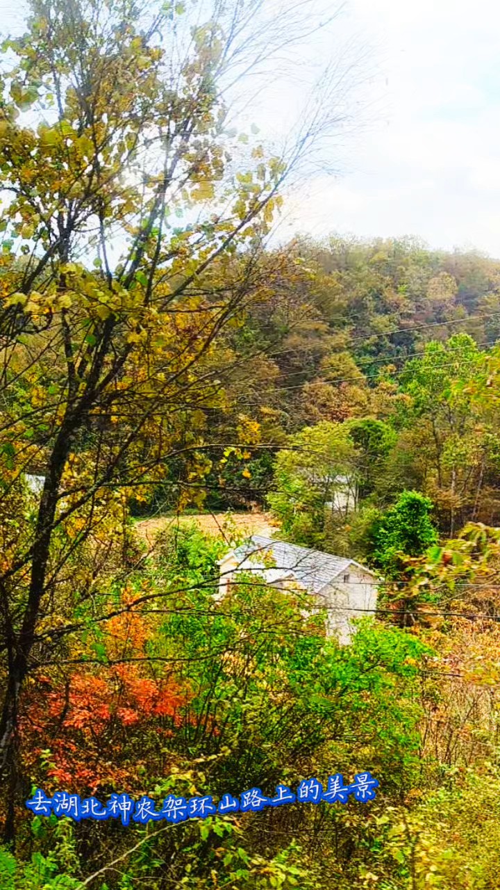 去湖北神农架环山路上拍摄美景