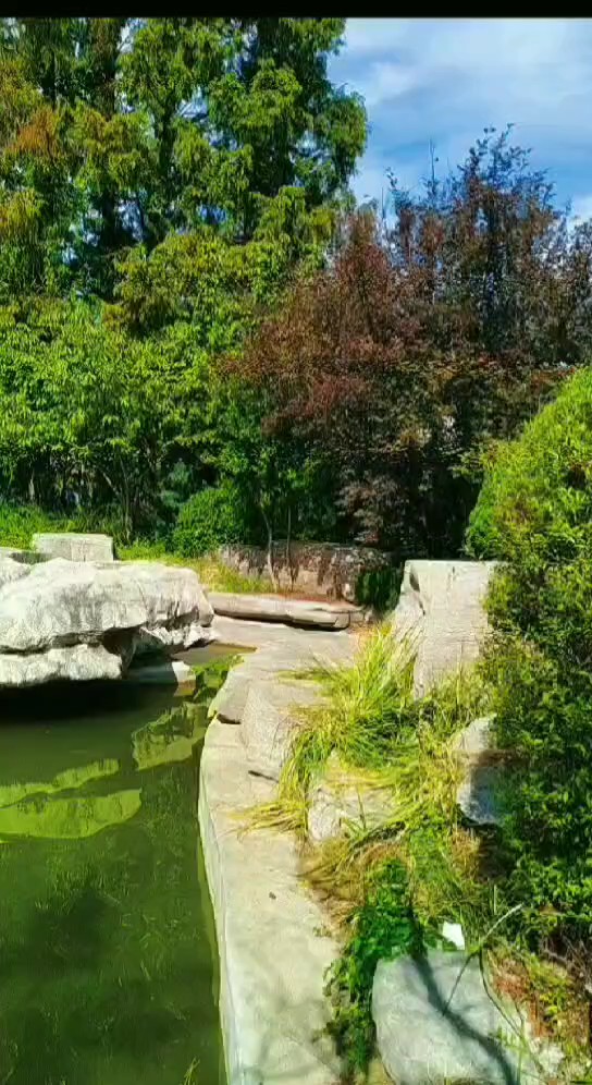 公园一池湖水与岸边树木交相辉映，秋日的美景，在眼前徐徐展开。
