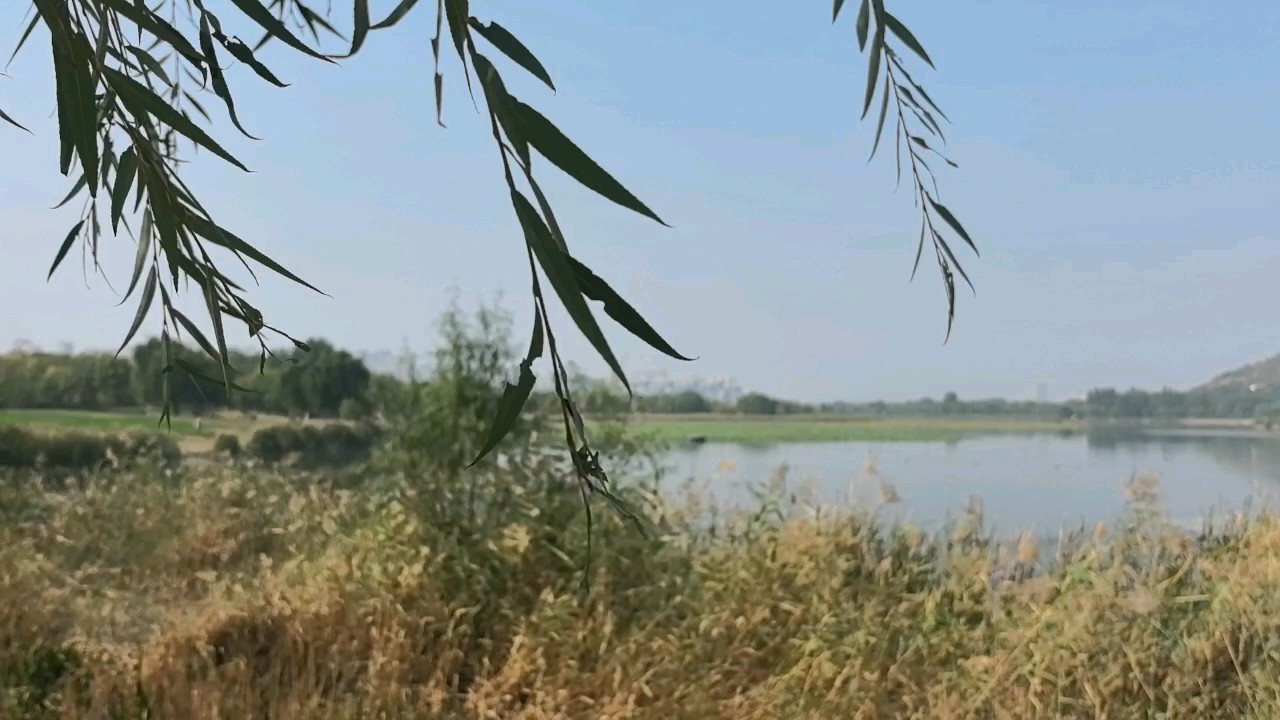 秋日的华山湖，美得像一幅徐徐展开的古画！