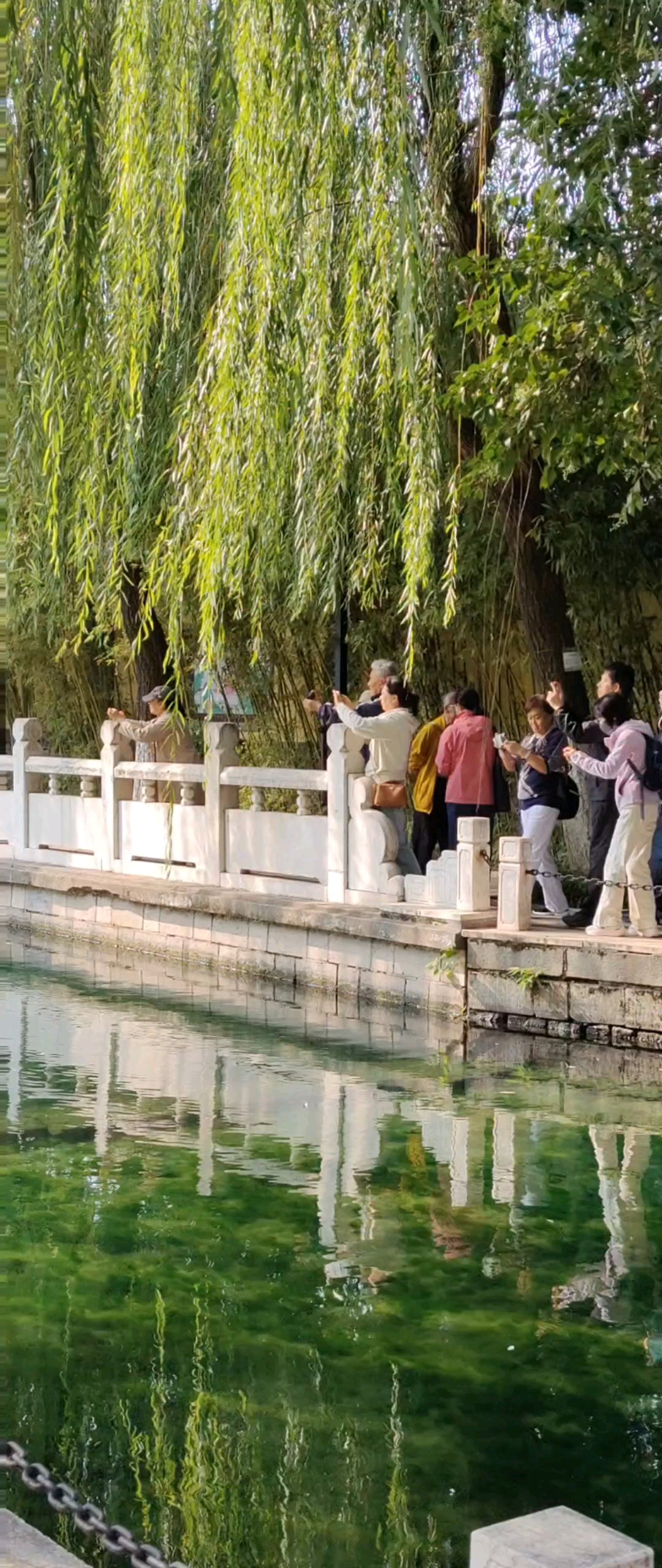 快乐的手机攝影师。