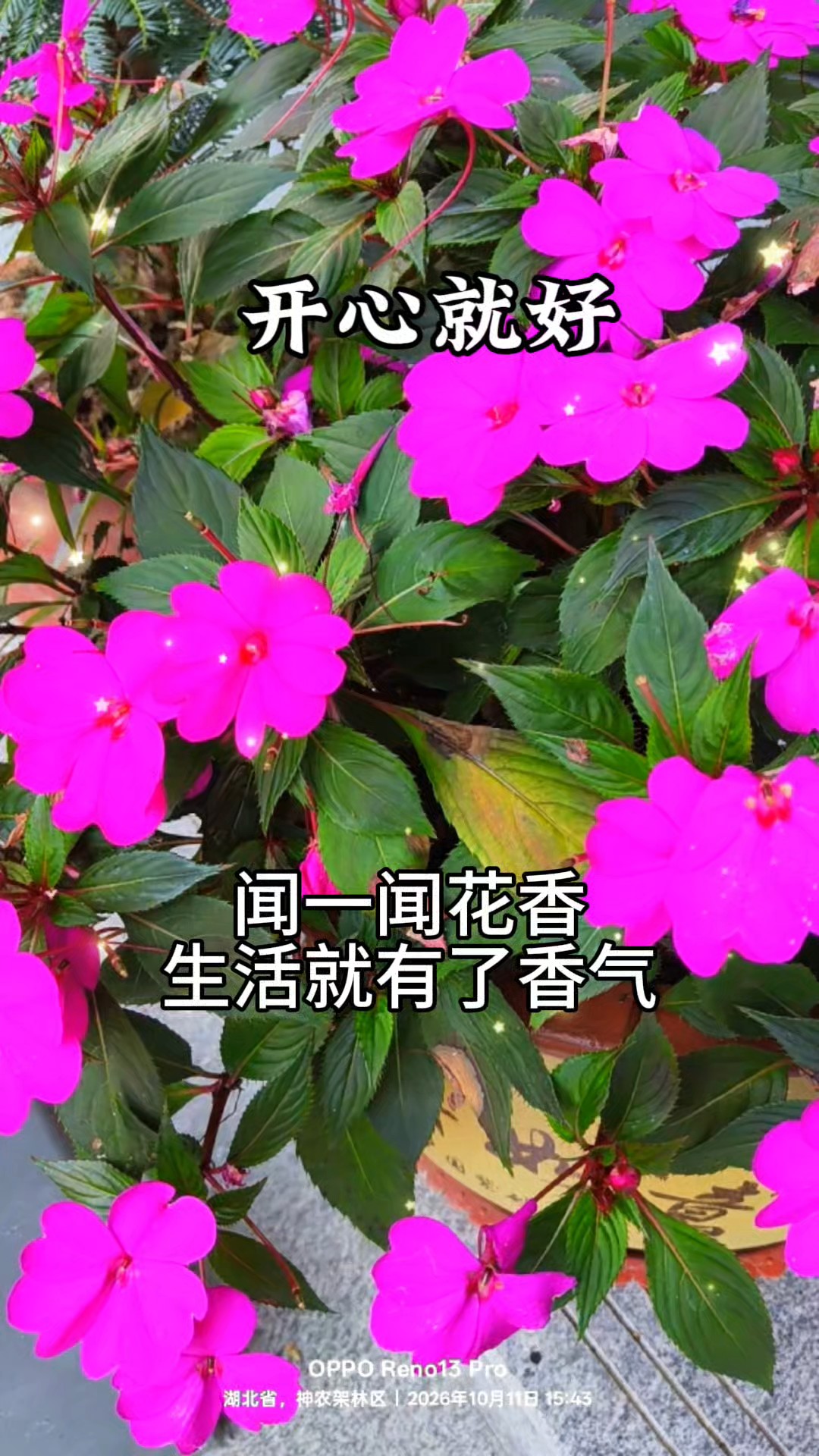 开心就好