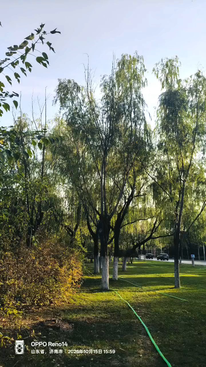 一城山色半城湖，济南的秋