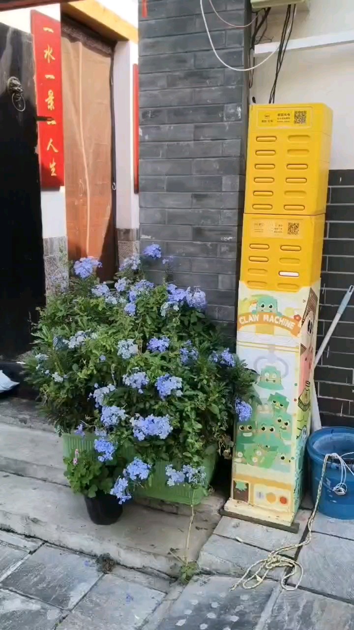 曲水亭畔故事多。