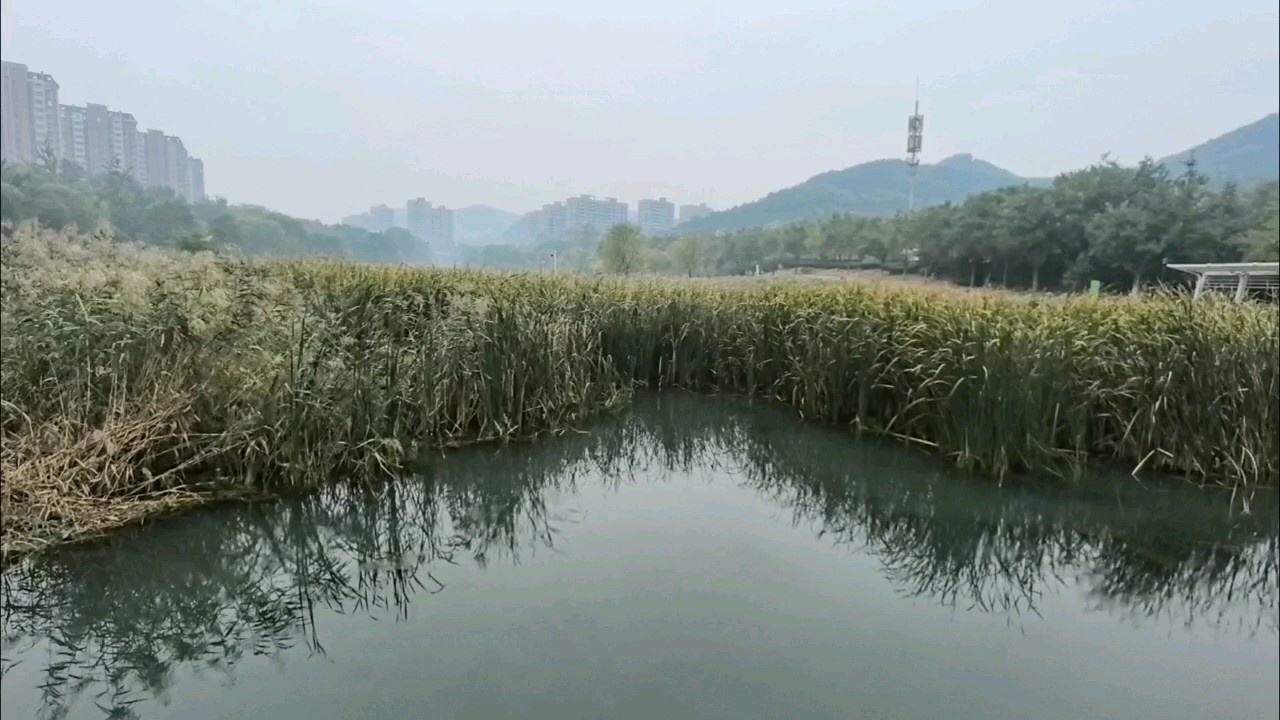 滨水公园美丽优雅，如诗如画。一城秋色，满目生机！