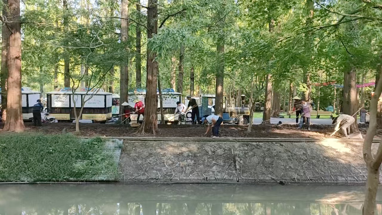 劳动的景象（北沙摄于崇明国家东平森林公园）