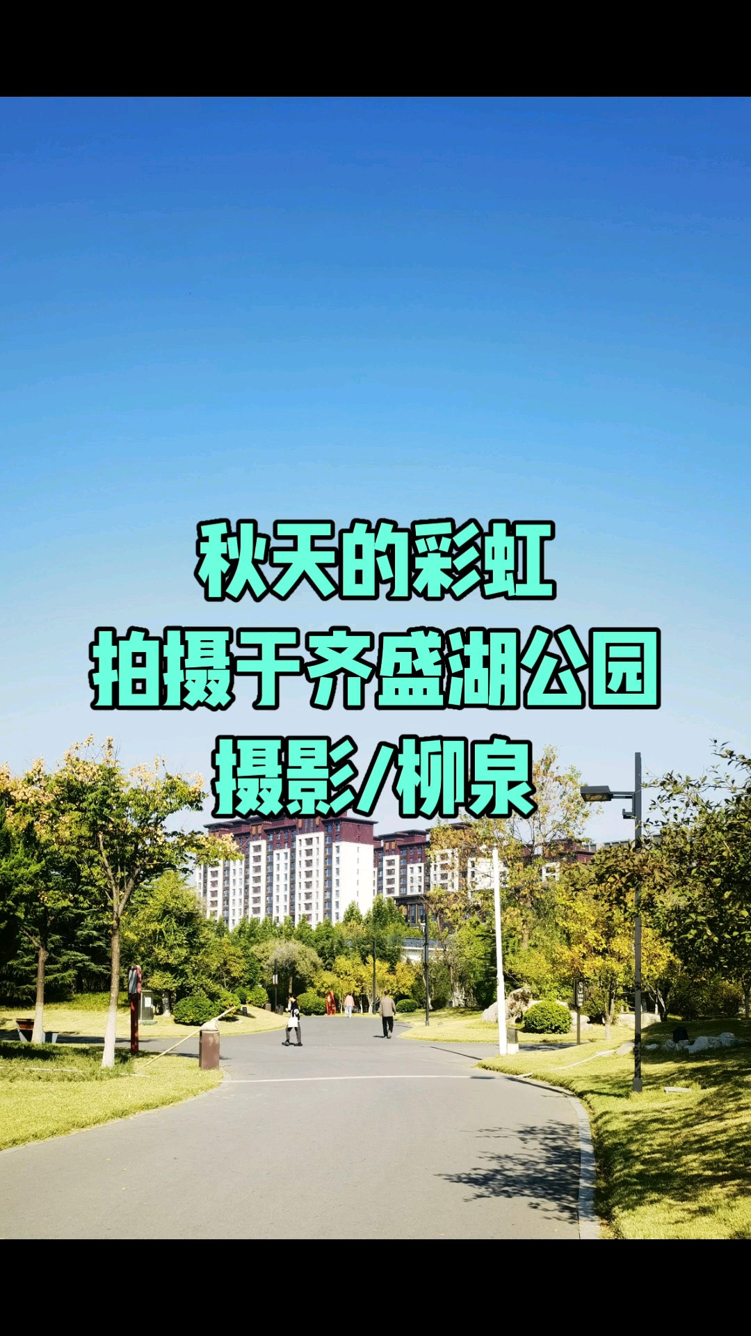 秋天的彩虹/拍摄于齐盛湖公园/摄影/柳泉