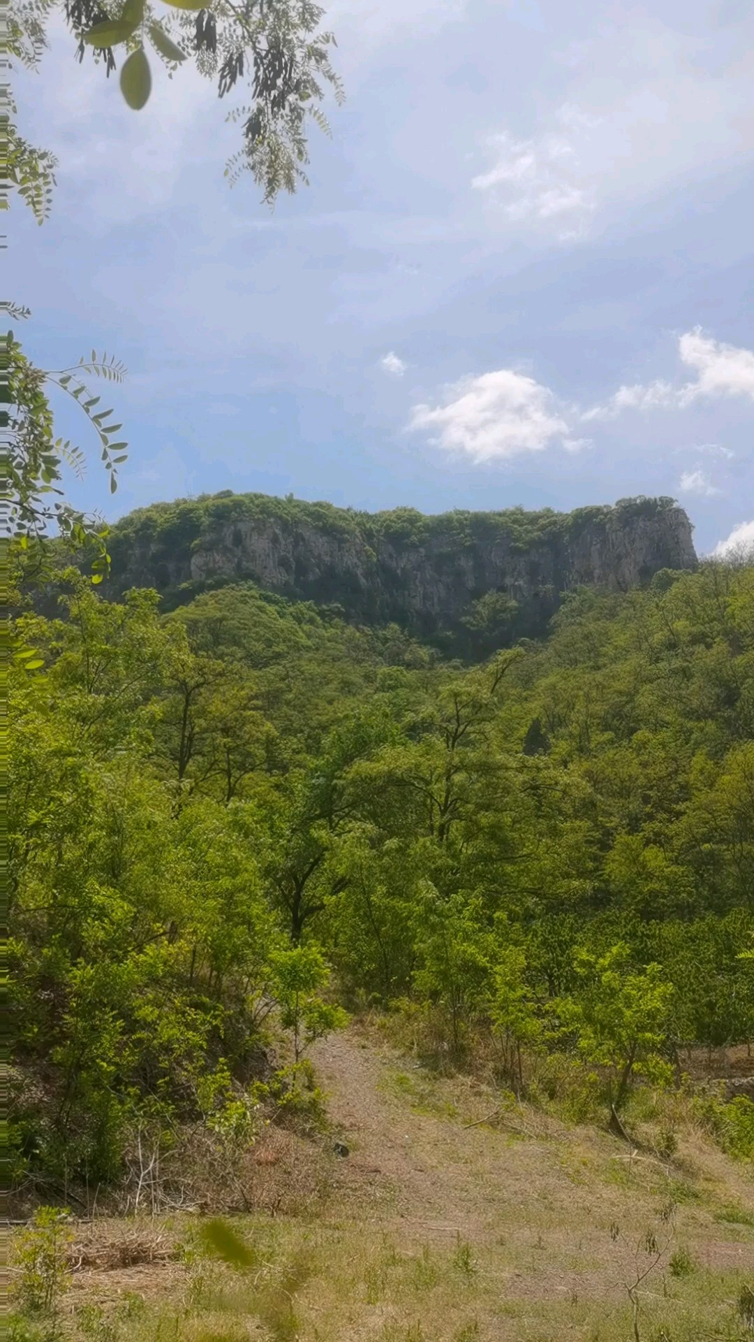 文祖东张象鼻山美景