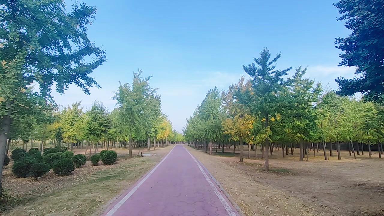黄河杏林园风景如画