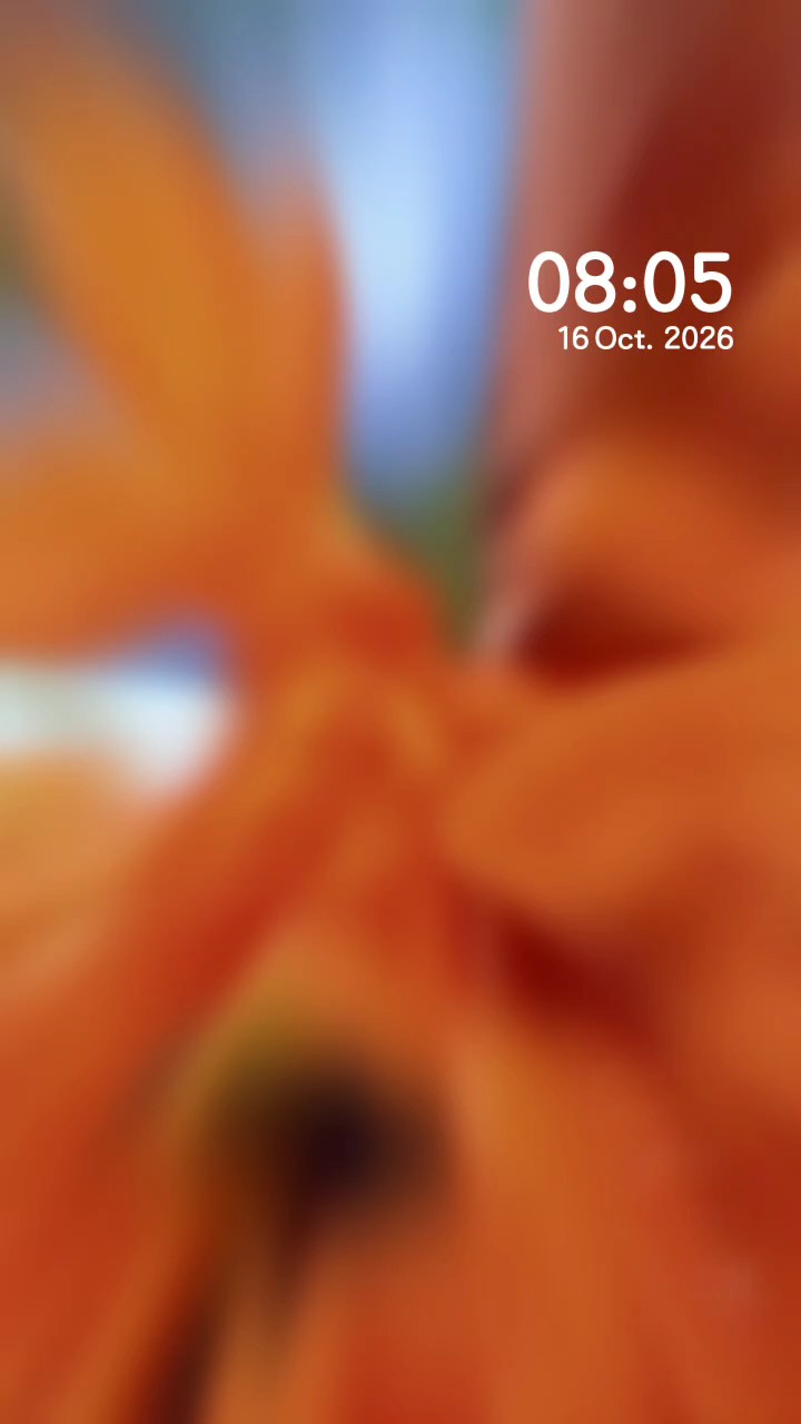 桂染秋光，碎蕊含风暗送香