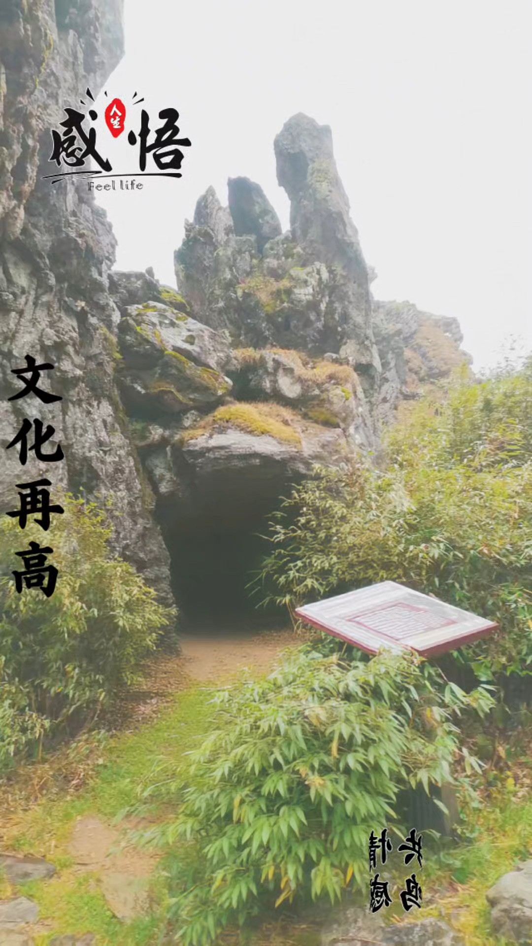 情感共鸣