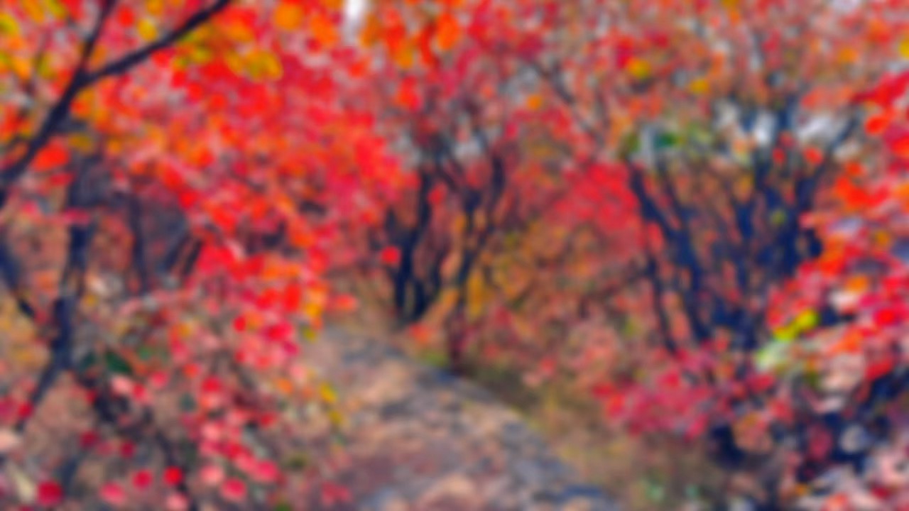 莲花山胜水禅寺，红叶题诗，漫山红遍，走进仙境入画卷/李朝阳