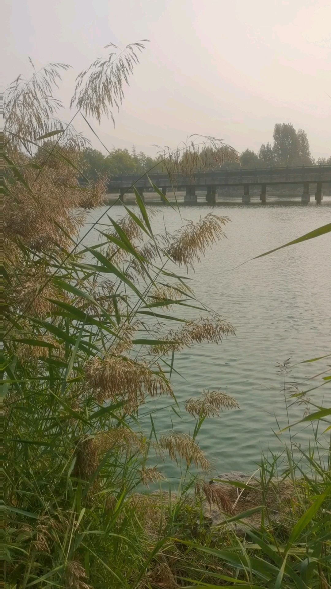 危山湖水波光粼粼