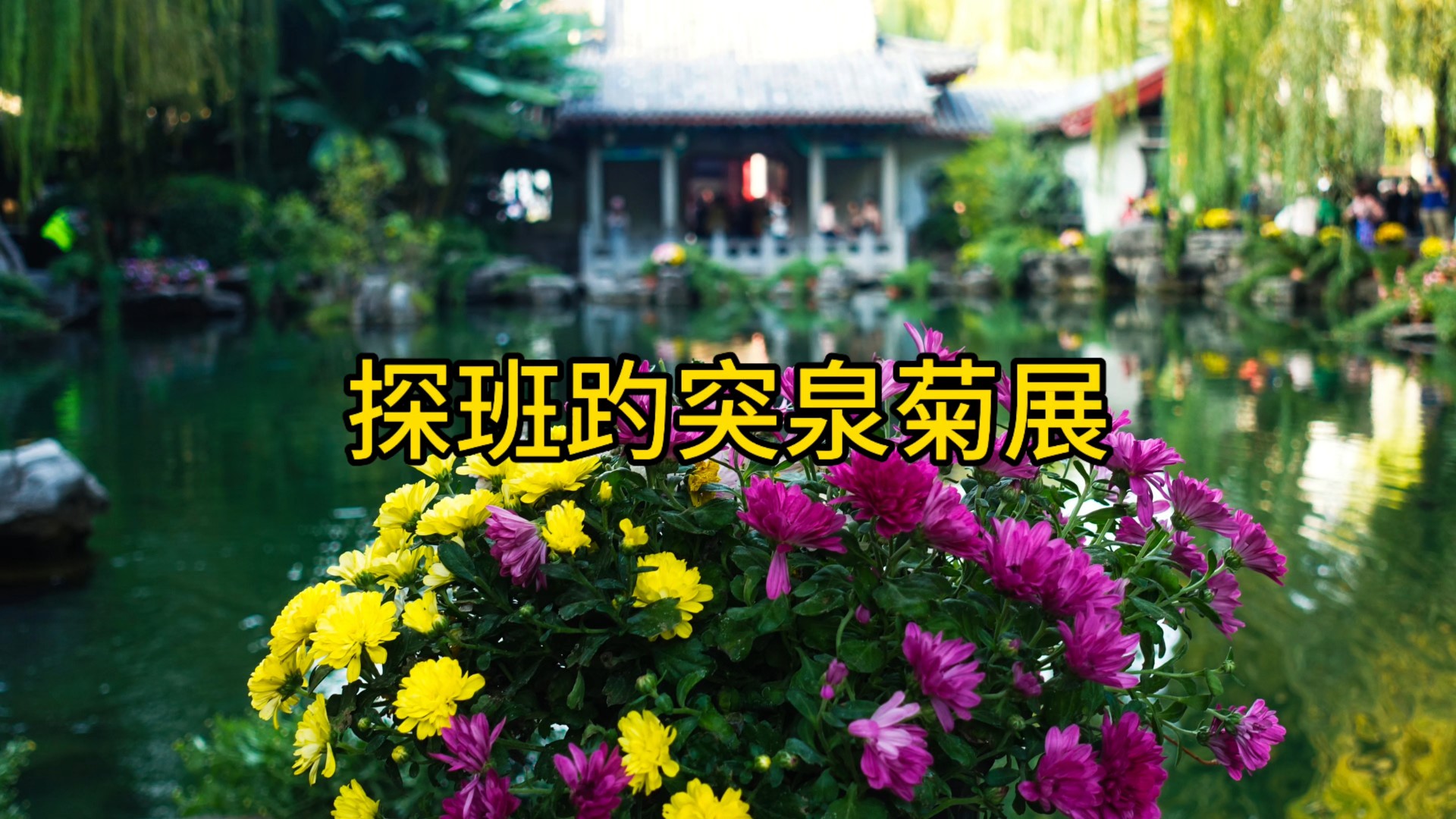趵突泉畔水清澈，人乐鱼欢绘金秋。
