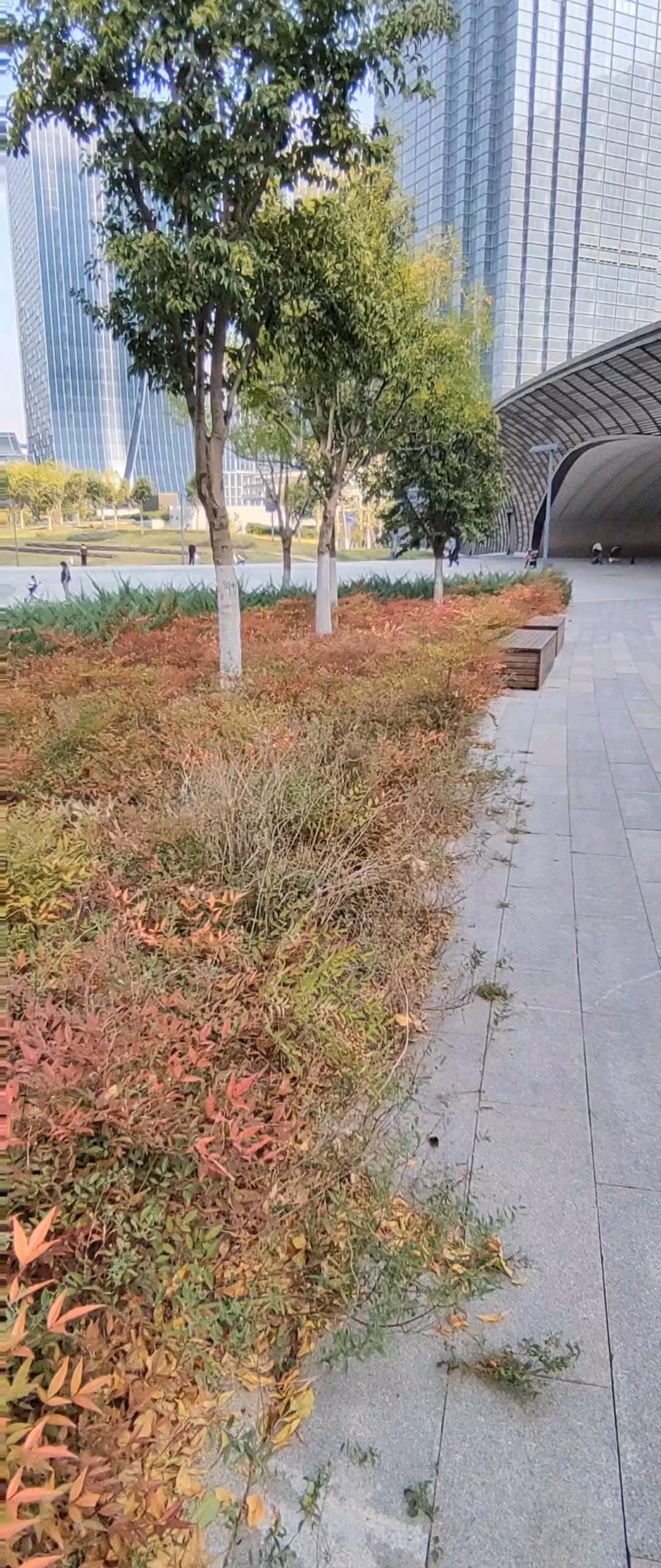 五颜六色叶成花。
