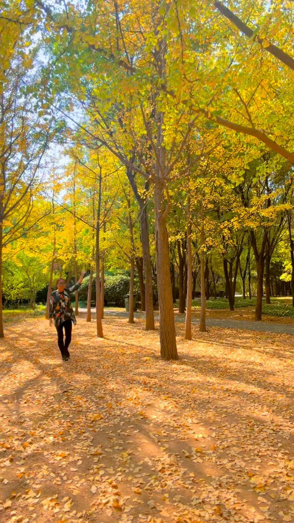 深秋的泉城济南森林公园风景如画空气清新象一幅幅令人陶醉。