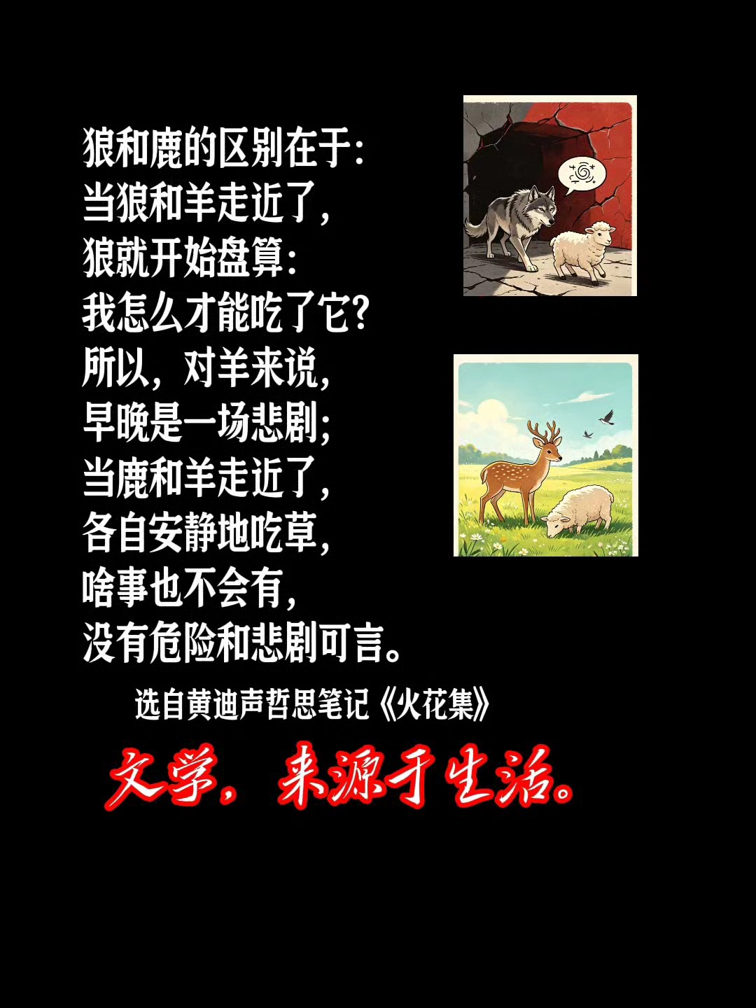 黄迪声哲思笔记《火花集》（之十七）