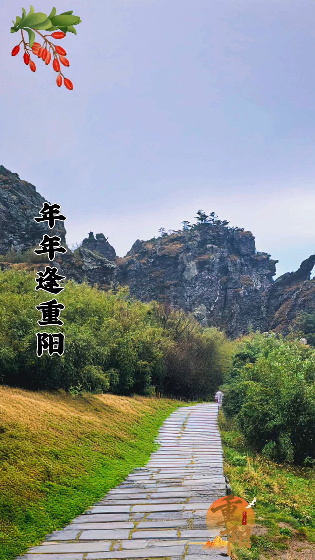 年年逢重阳，岁岁皆平安