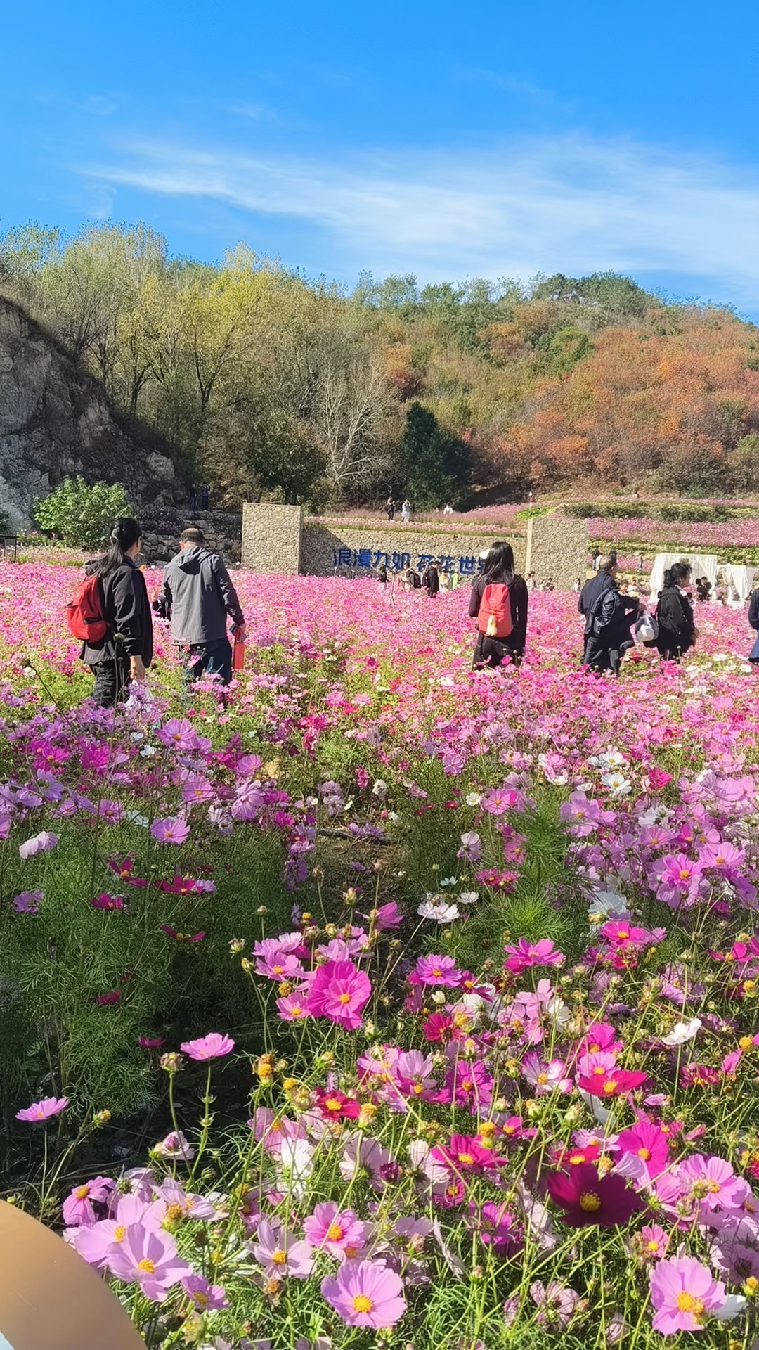九如山花海好美好美！