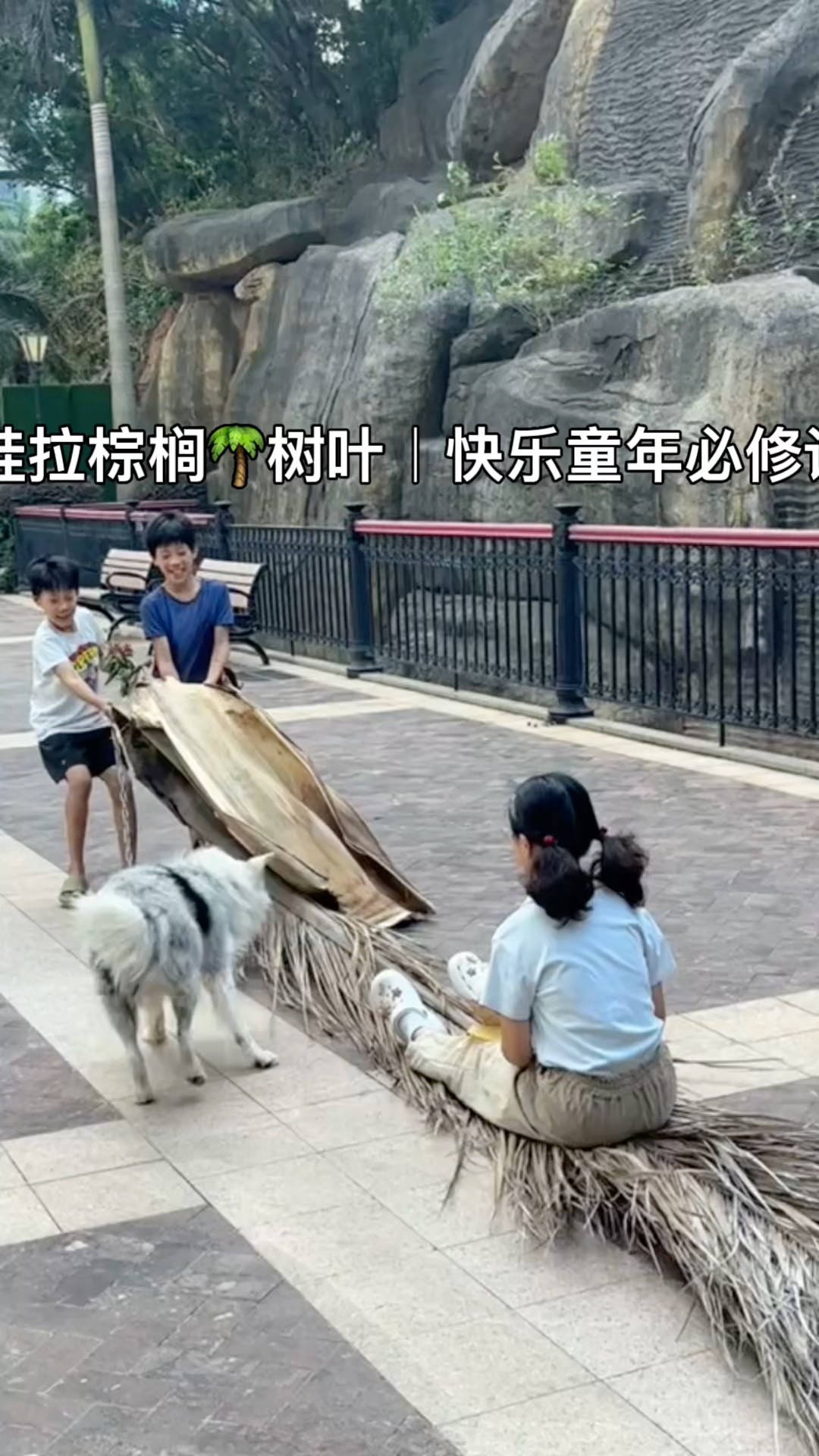 山东人乘坐树叶车｜娃拉棕榈｜坐在乡间的小路上｜快乐童年