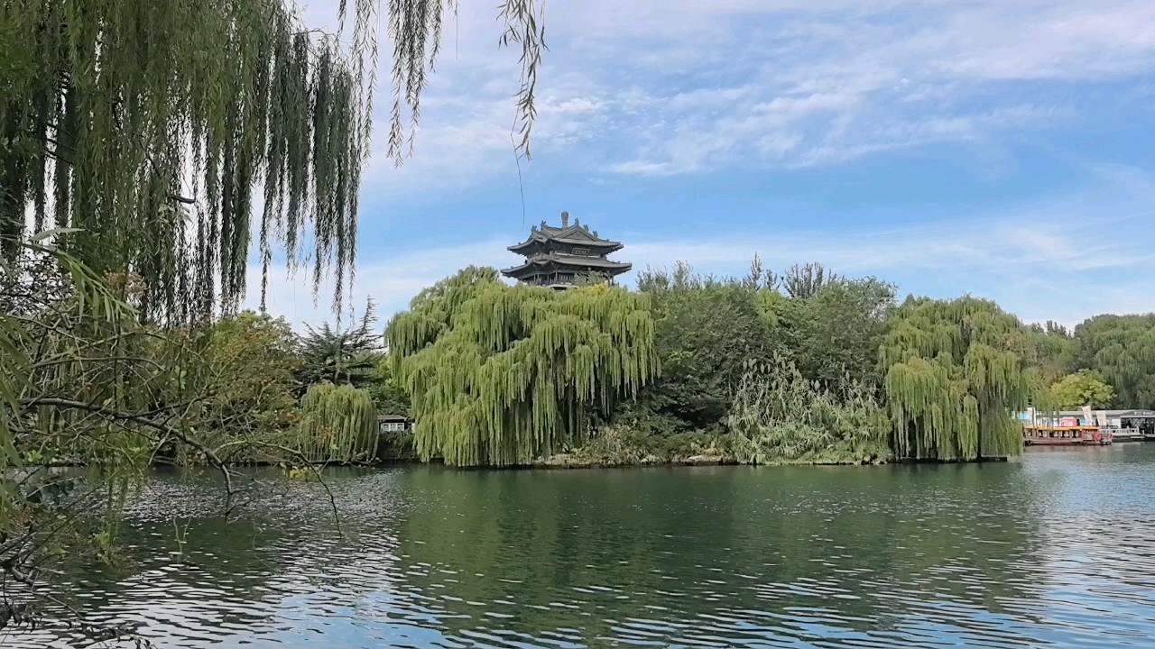 清晨的大明湖薄雾还没散尽，湖面像蒙了一层纱，岸边柳枝垂着露水