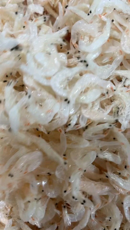 渤海湾特产～晶莹剔透小虾皮，拌菜包馄饨包韭菜盒子做海鲜卤面条