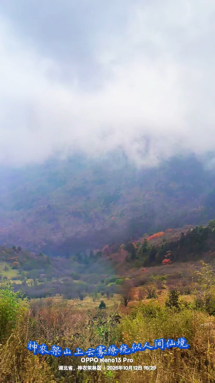 神农架山上云雾缭绕似人间仙境