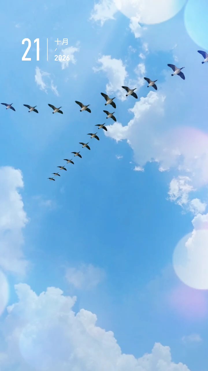 一群大雁往南飞