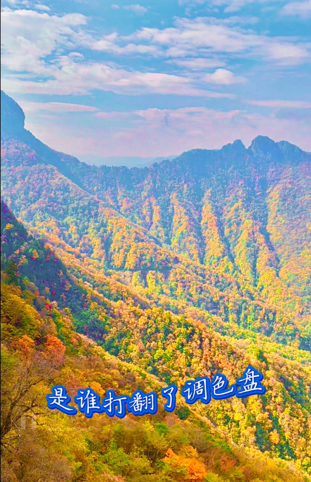 是谁打翻了调色盘