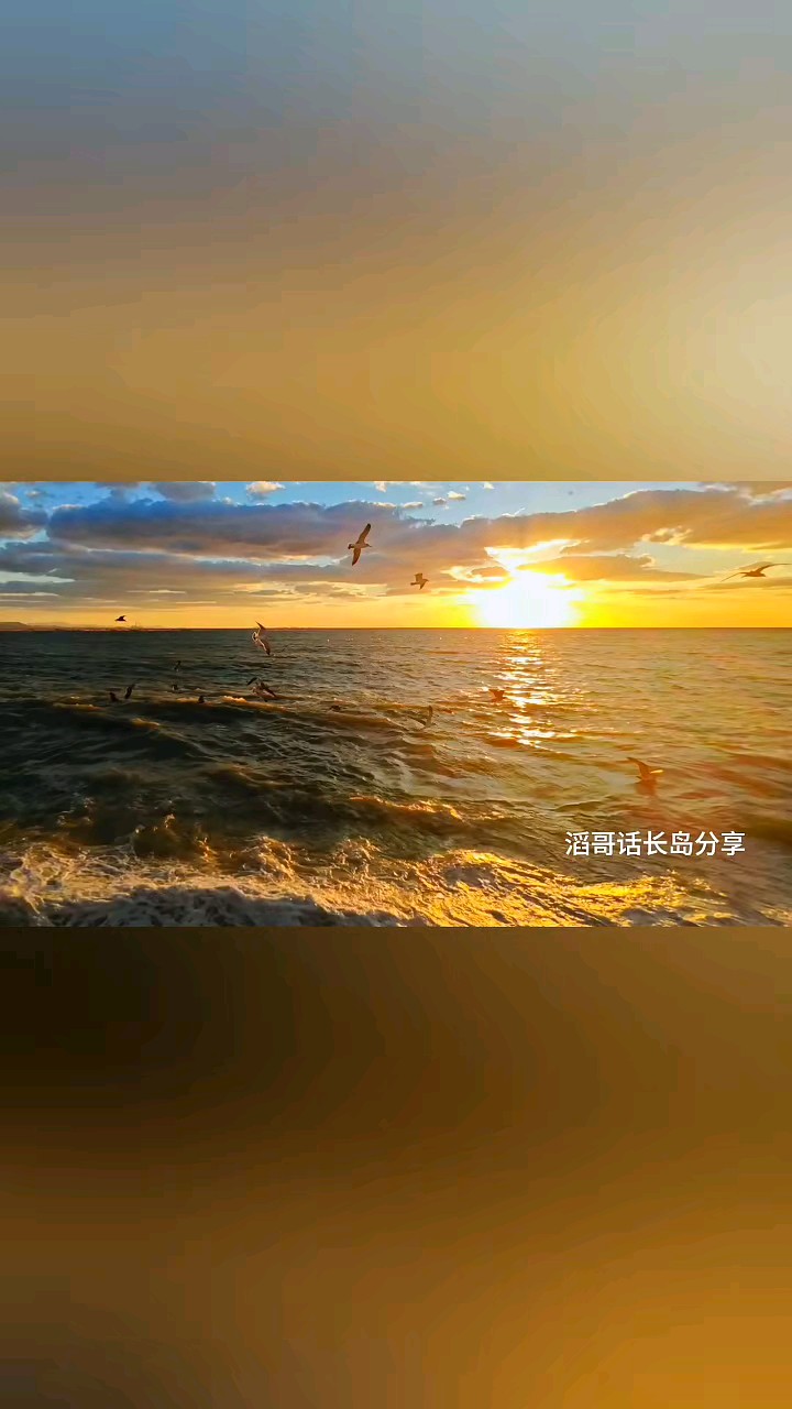 《滔哥话长岛》系列作品展示