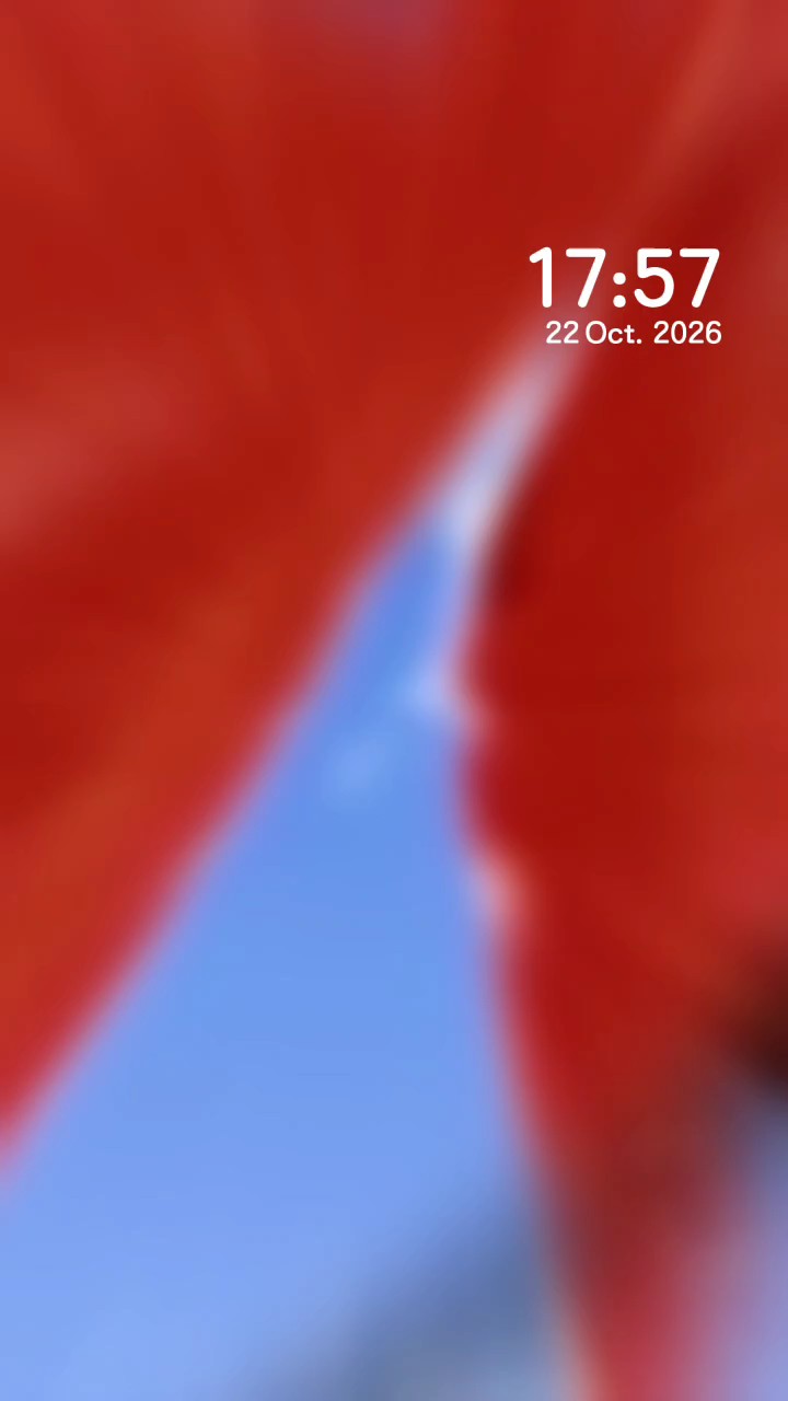 秋天的树叶，大自然的调色盘