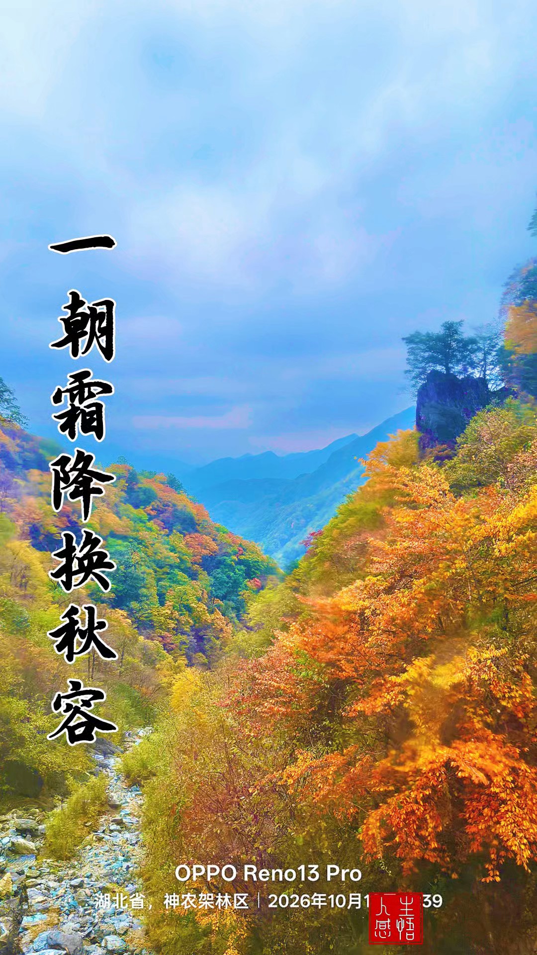 一朝霜降换秋容