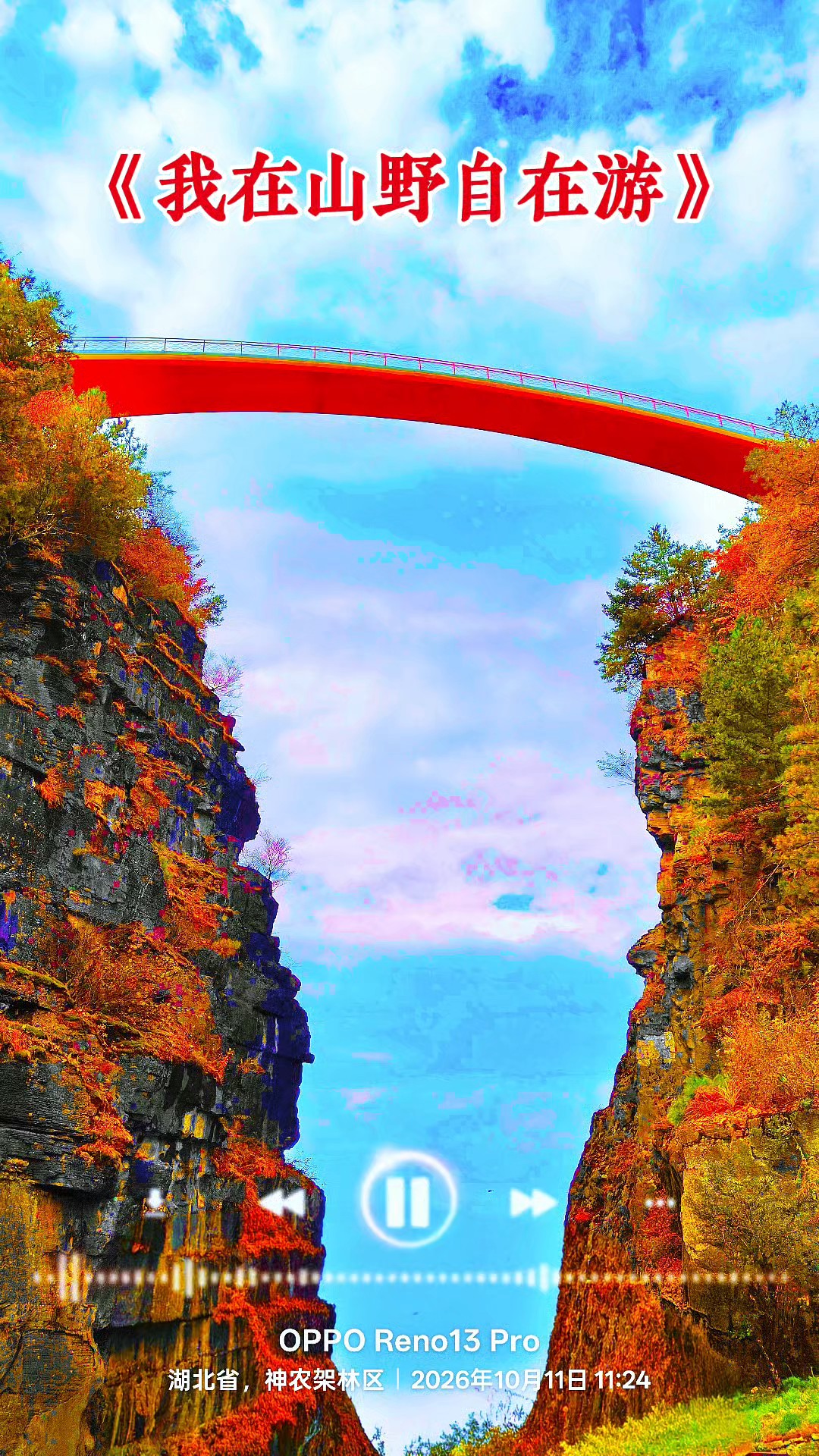 我在山野自在游