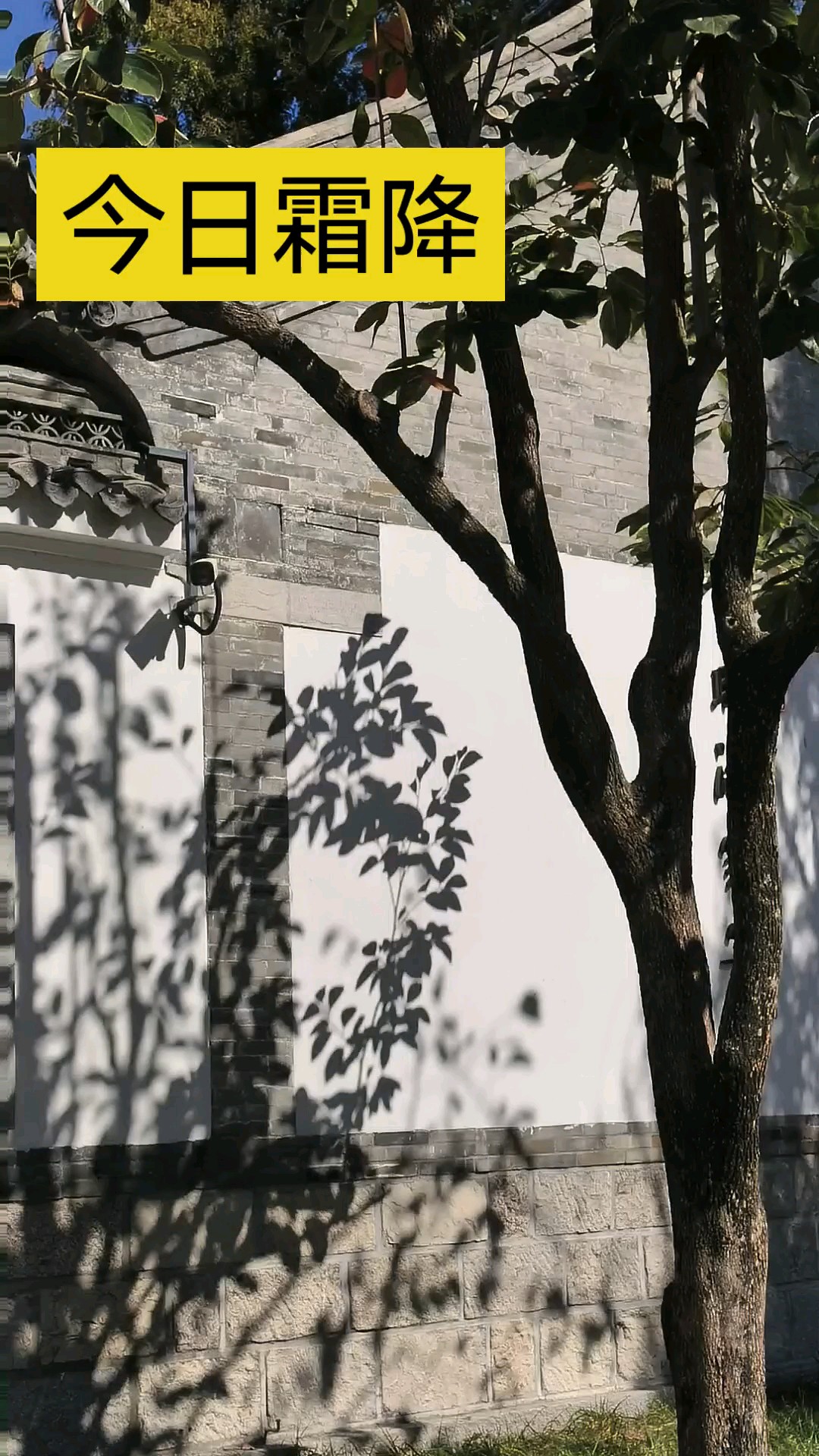 二十四节气之·霜降∥秋已暮，露成霜，愿岁月静好如初……